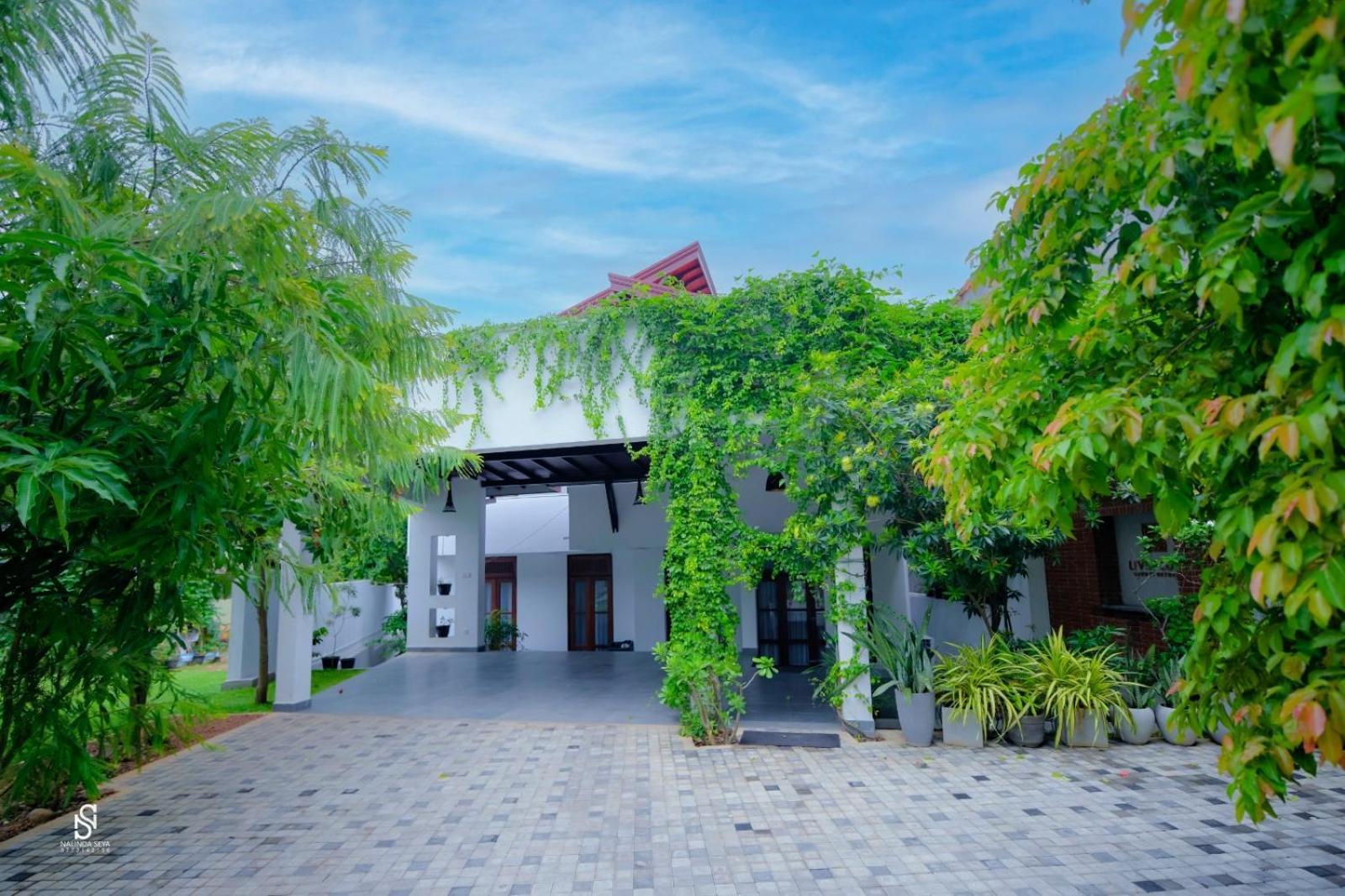 Livin Lush Luxury Retreat Hotell Anuradhapura Exteriör bild